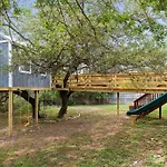 Zen Austin Home With A Cozy Tree House