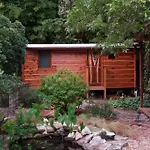 The Treecycle