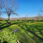 Green Haven Studio Near Austin Airport Cota