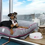 Aloft Austin Downtown