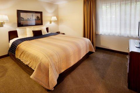 Sonesta Simply The Domain Area 3* Austin