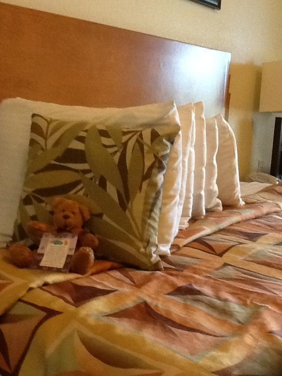 Hotel Super 8 By Wyndham Austin/airport North 2*