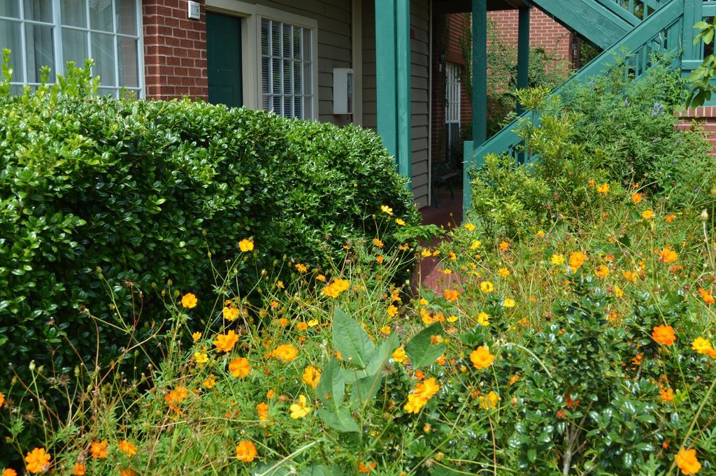 Habitat 3* Austin