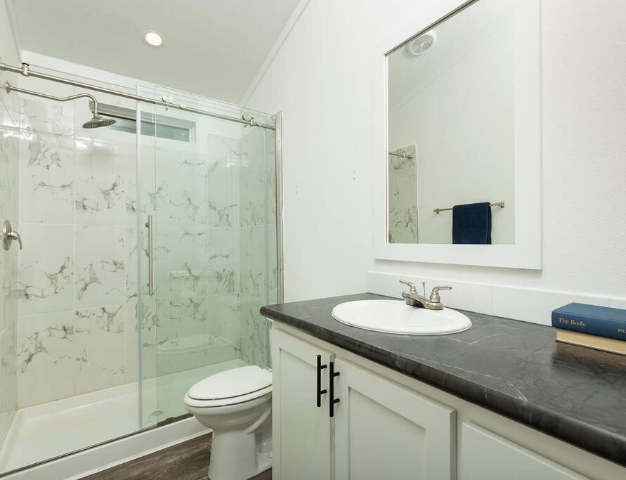 Lone Star - 15 Minutes To Downtown Holiday home Austin