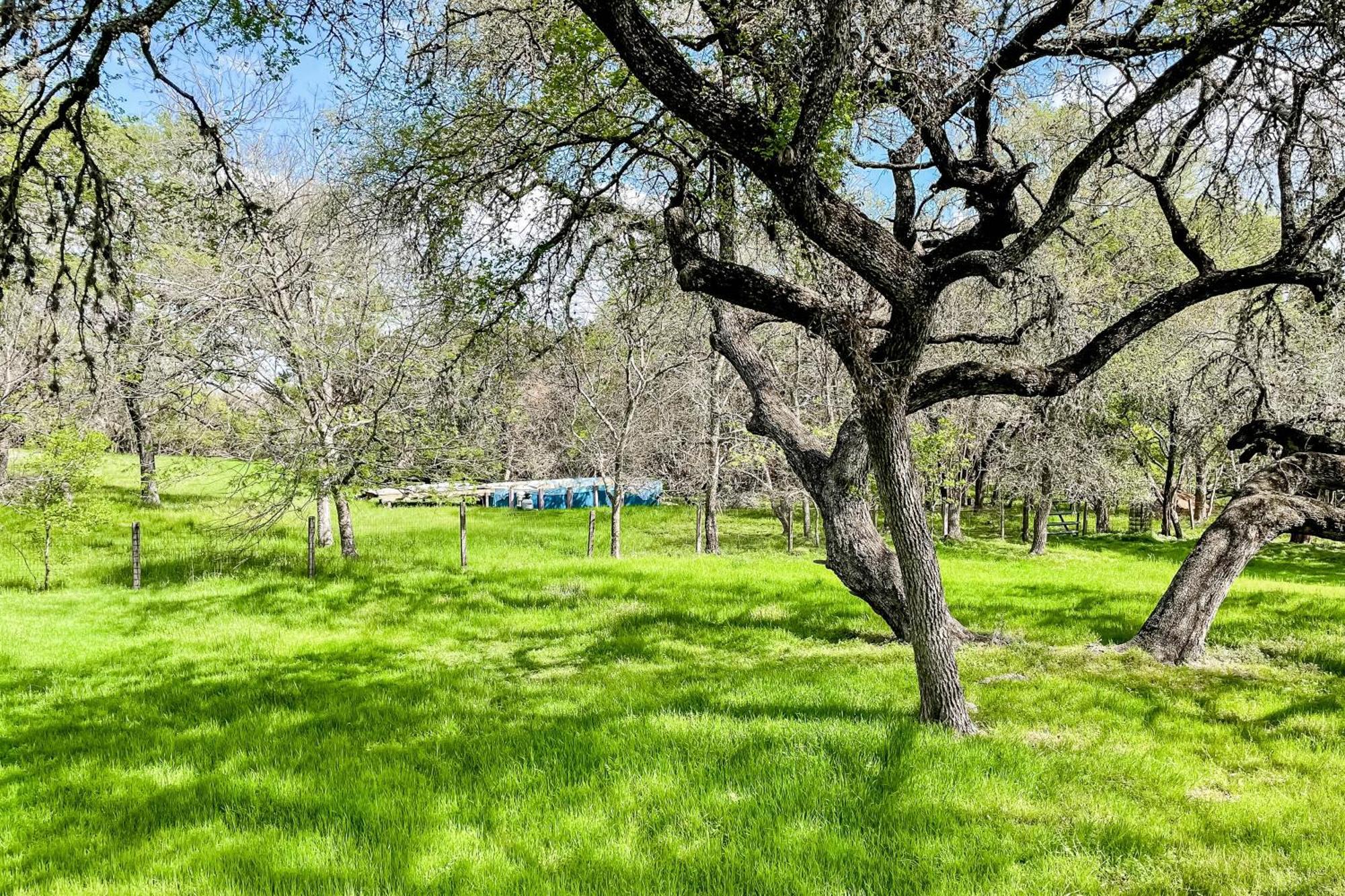 Slaughter Creek Holiday home