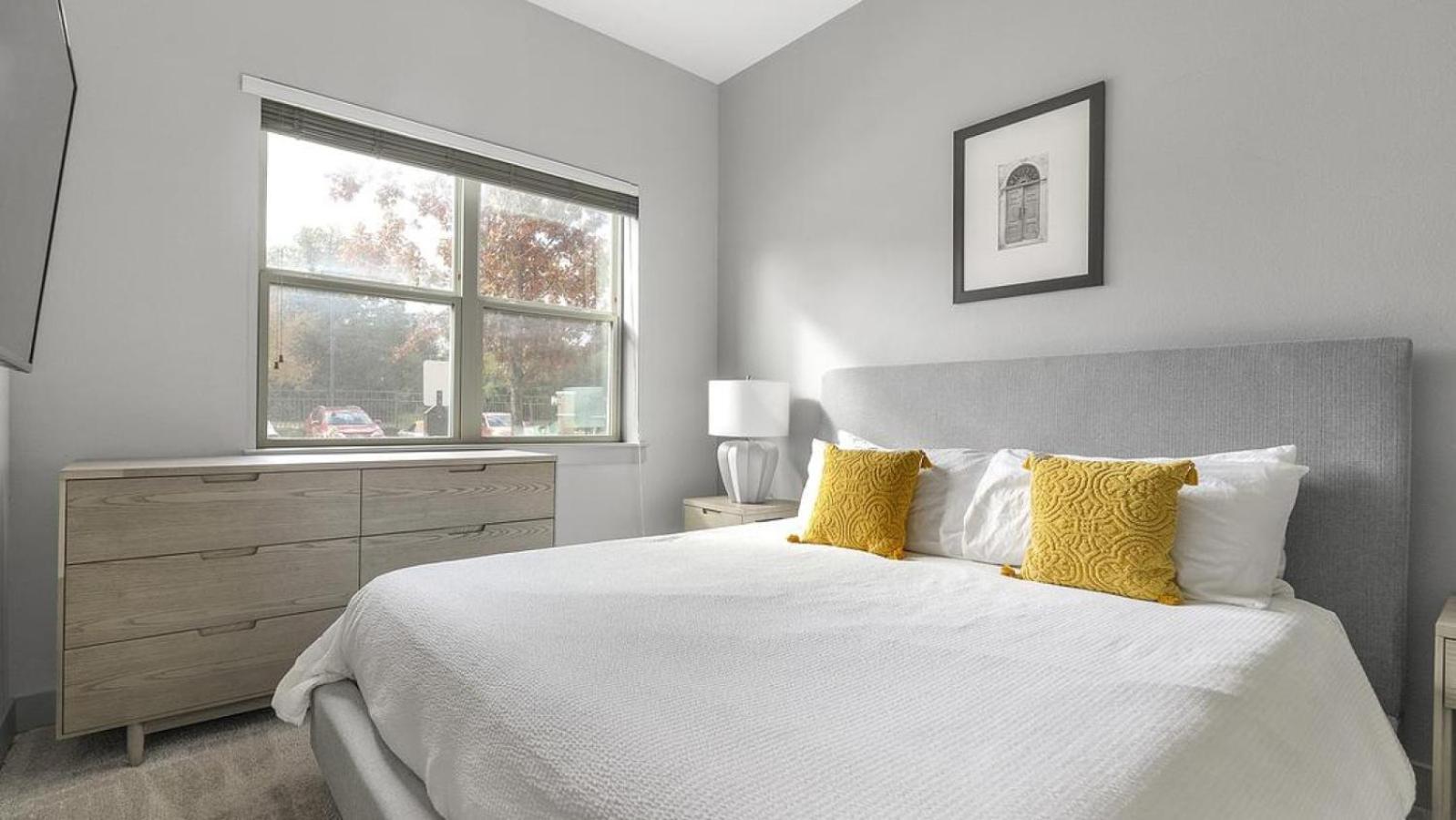 Landing Modern With Amazing Amenities Apartment Austin