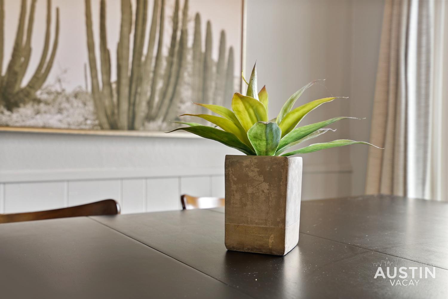 Apartment Pets Welcome Great Space Backyard Near Zilker Austin