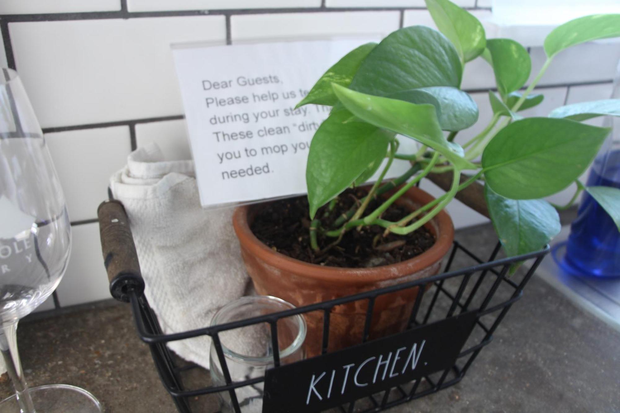 Holiday home Relax By The Pool, Gather In Yard, Walk To 6Th St & Dtwn'S Top Eateries *