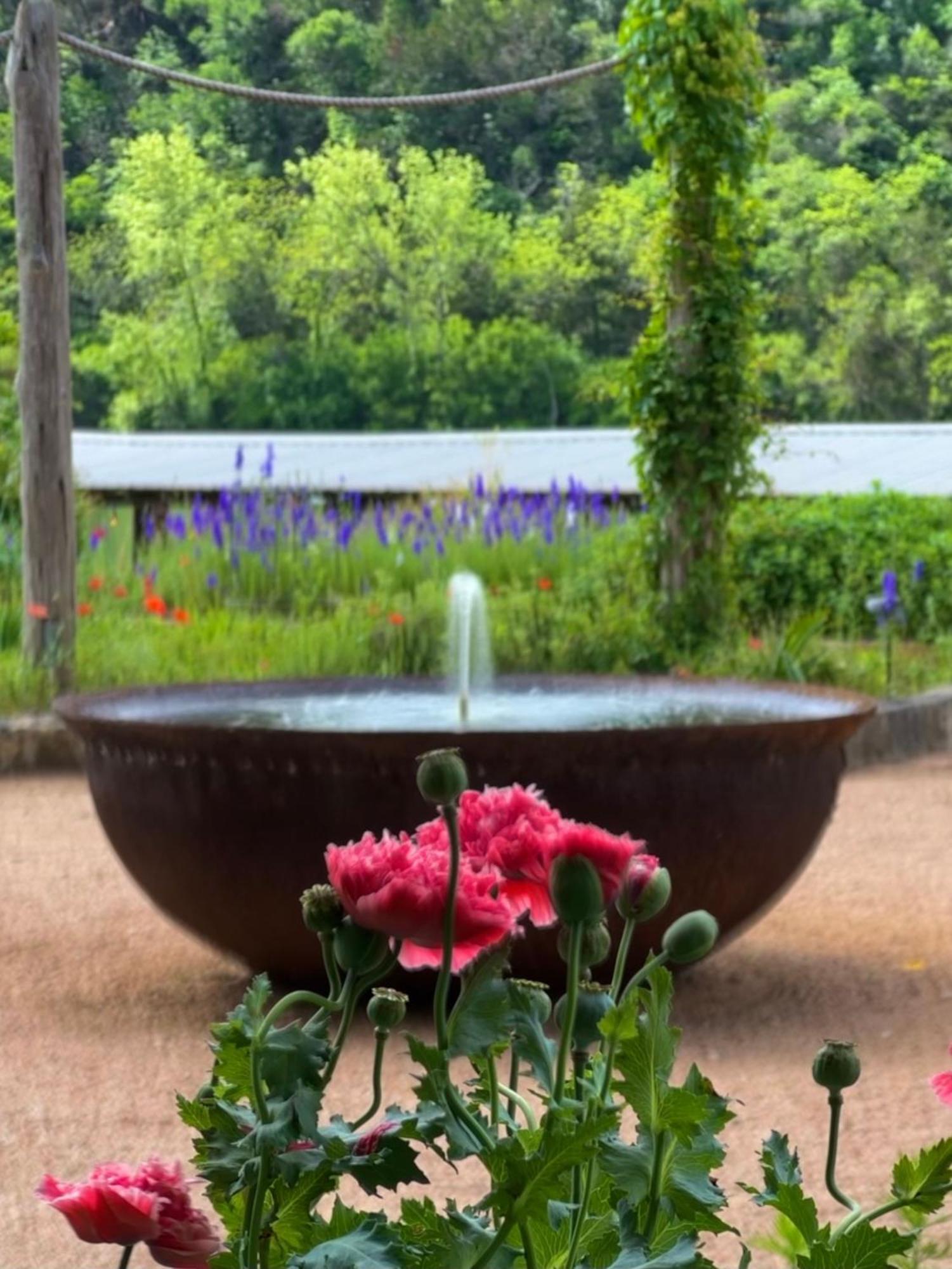 Lake Spa