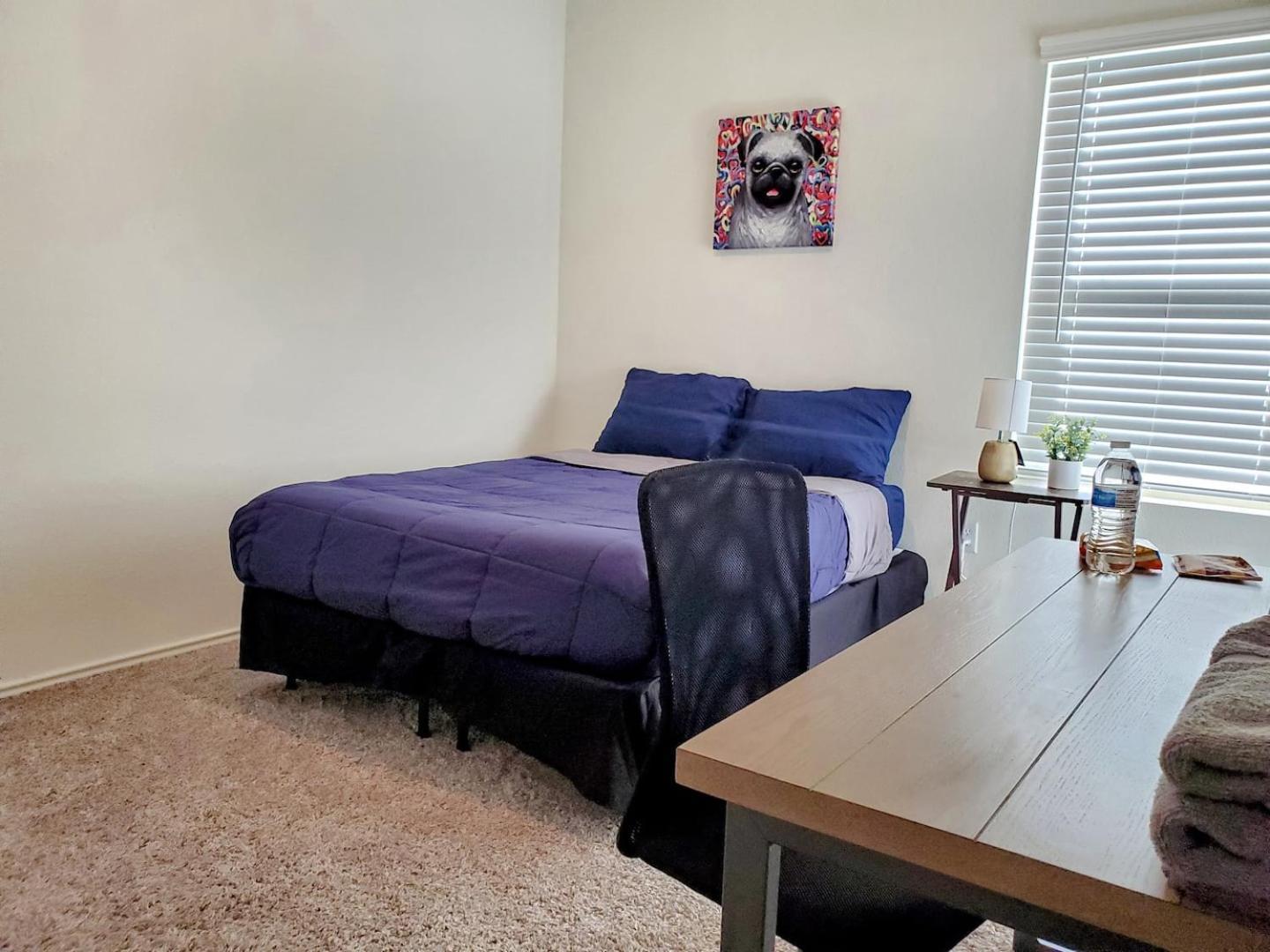 Contemporary Near Downtown & Airport Austin