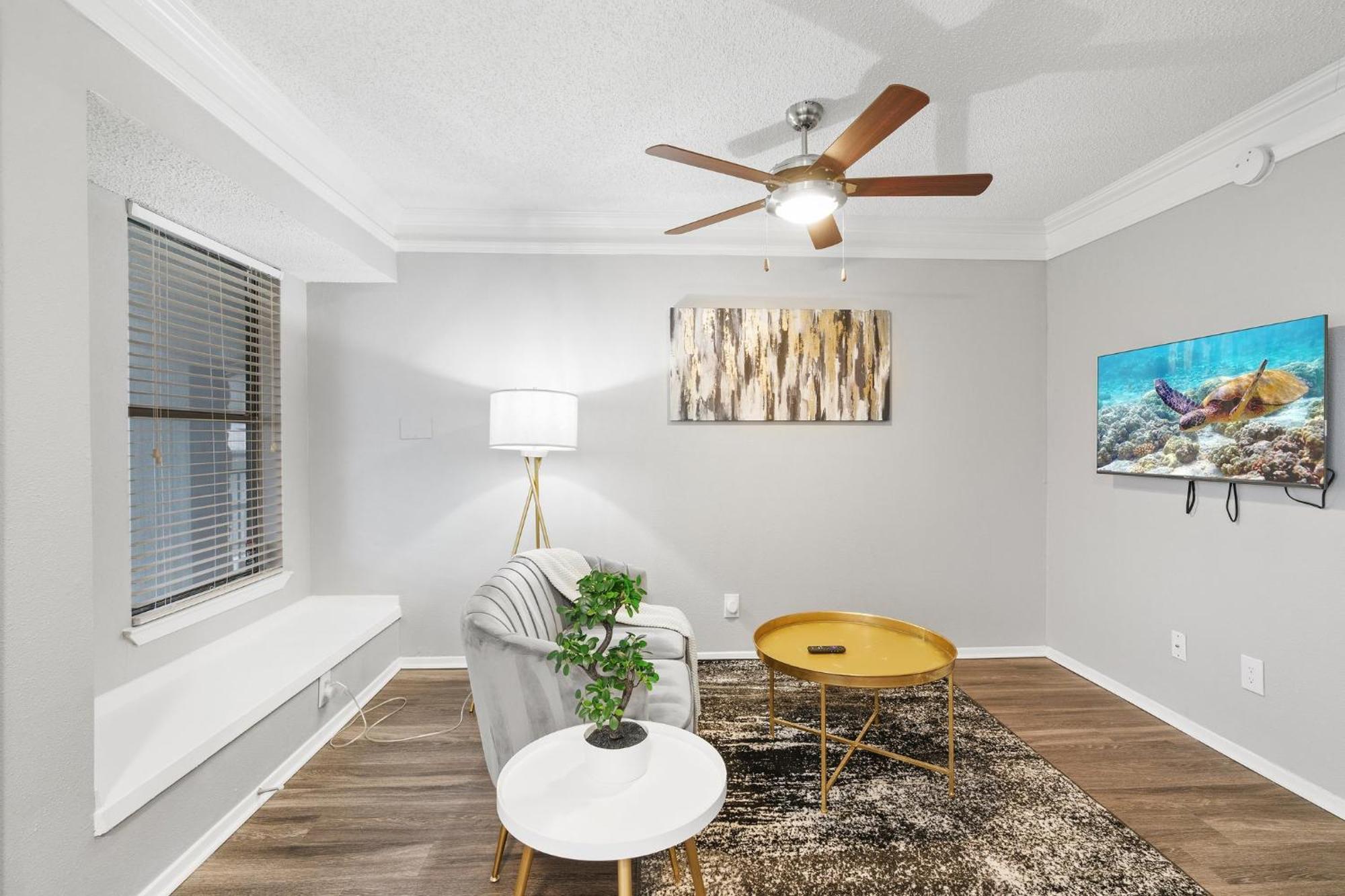 North Lamar Gem: 1br Pool Bbq Apartment *