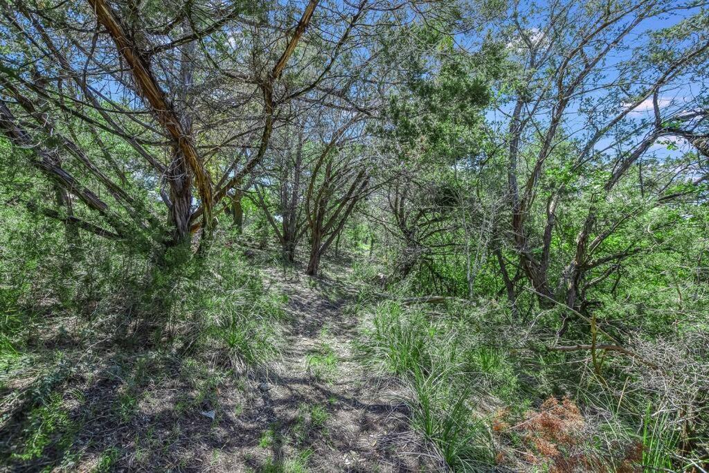 New Listing! 4 Bdrm Hill Country With Pool Austin