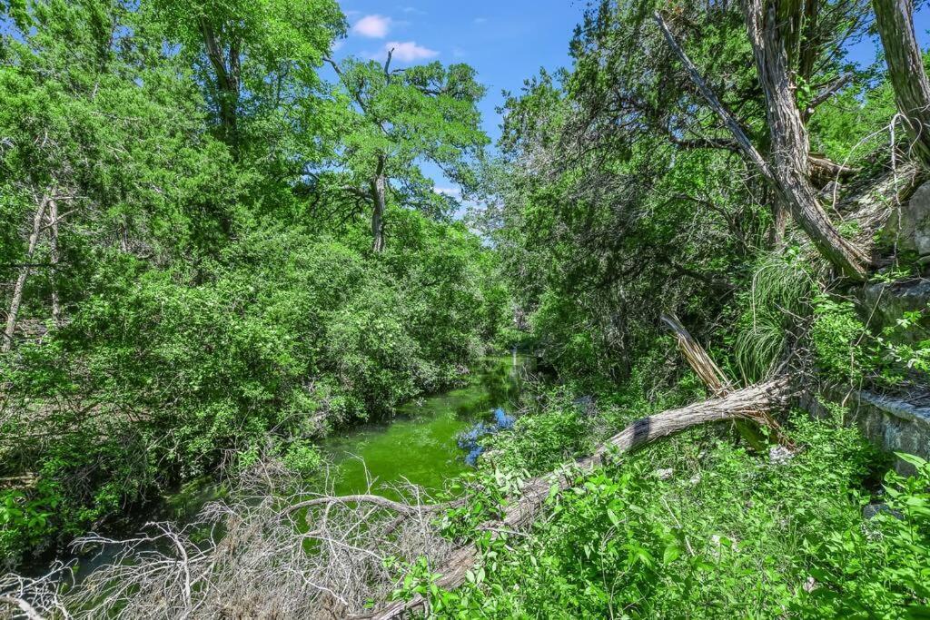 New Listing! 4 Bdrm Hill Country With Pool * Austin