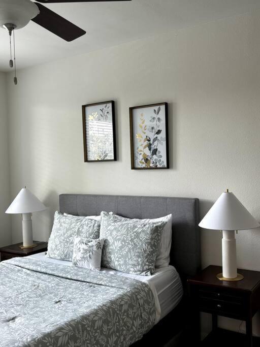 Domain Luxe Austin