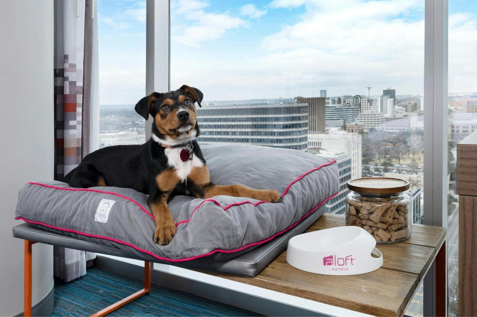 Hotel Aloft Downtown 3*
