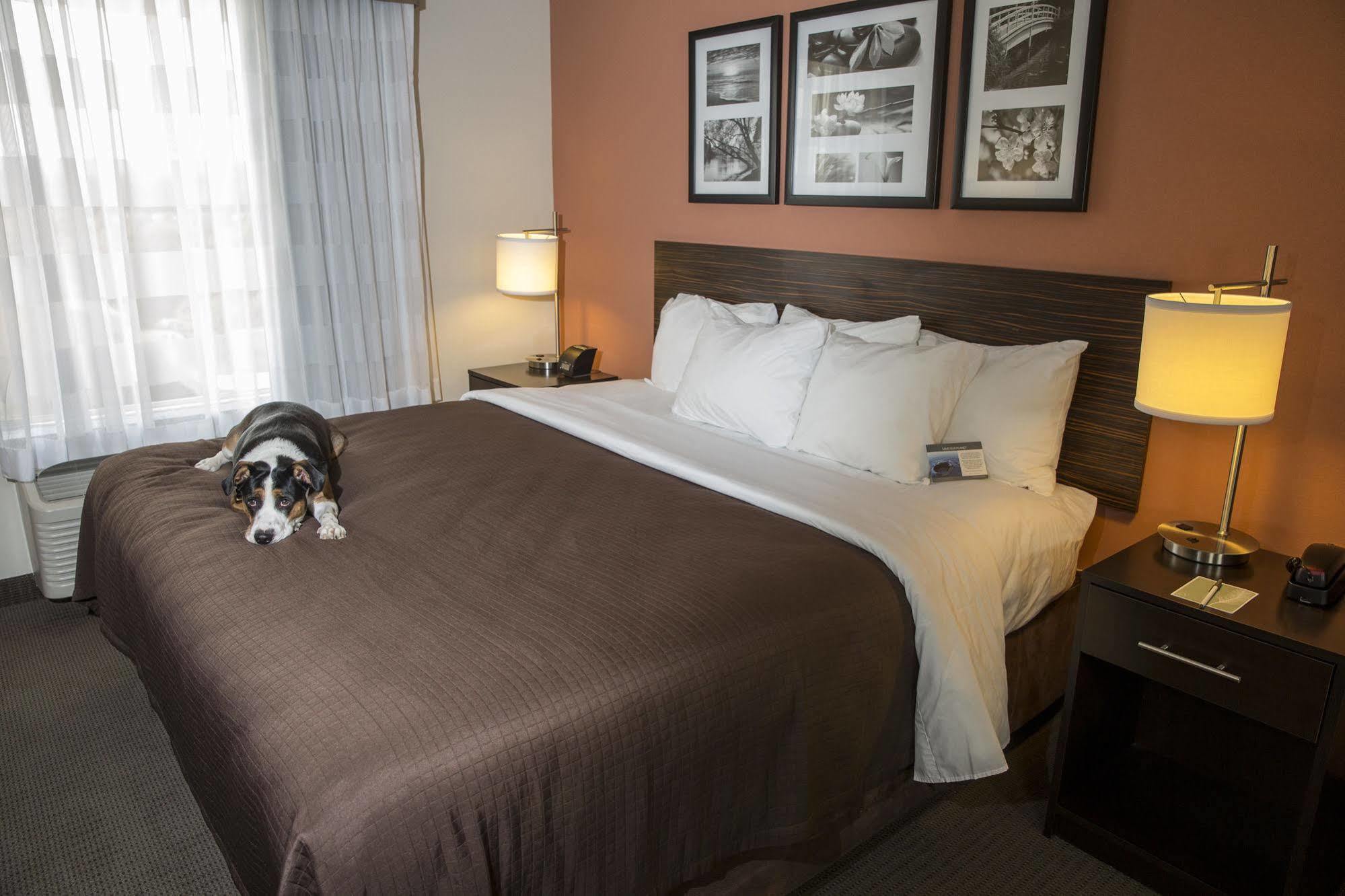 Sleep & - Tech Center Hotel