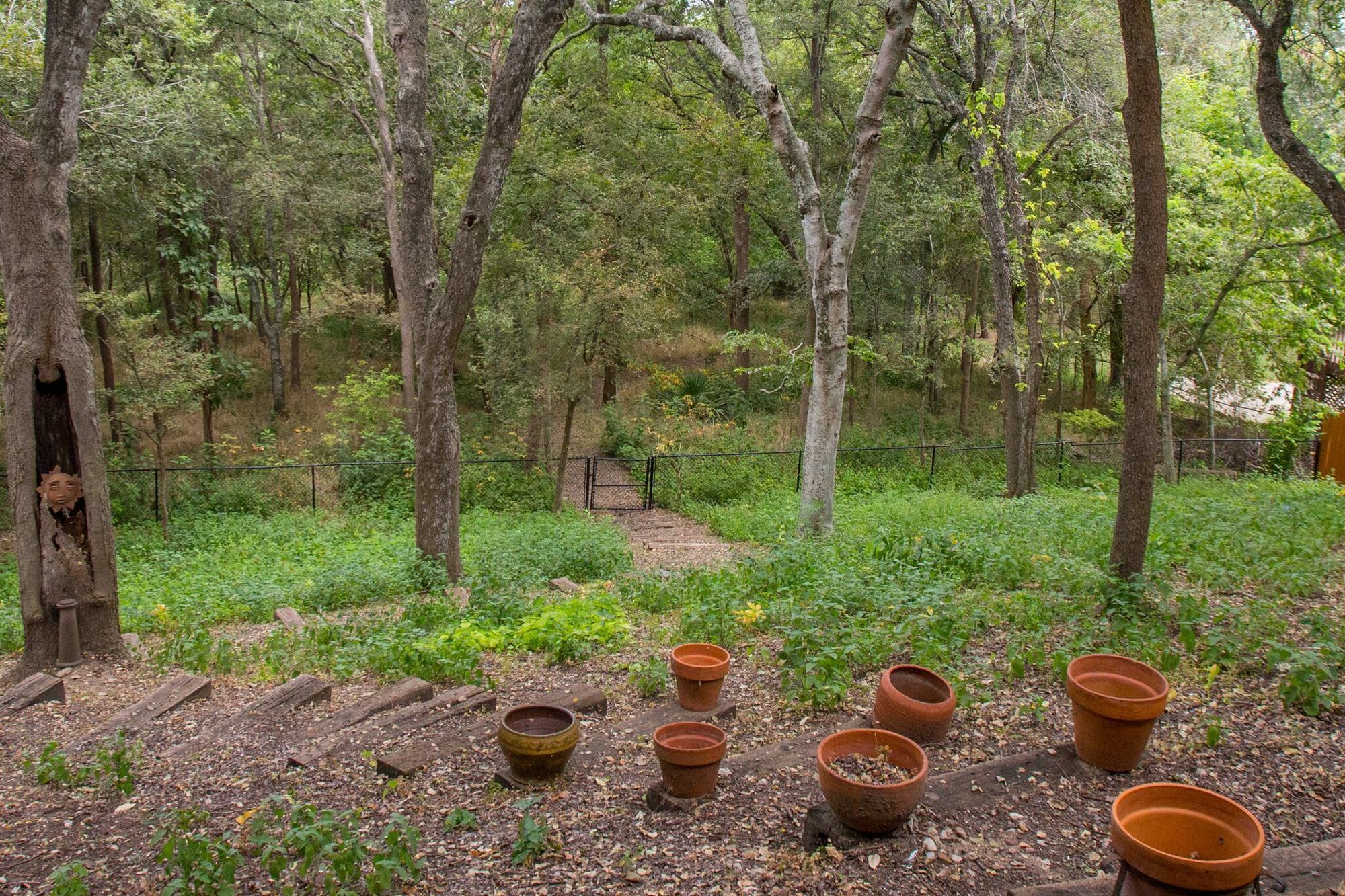 Eco Retreat * Austin
