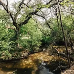 Group Retreat At Charming Twin Treehouses Near Ut Campus