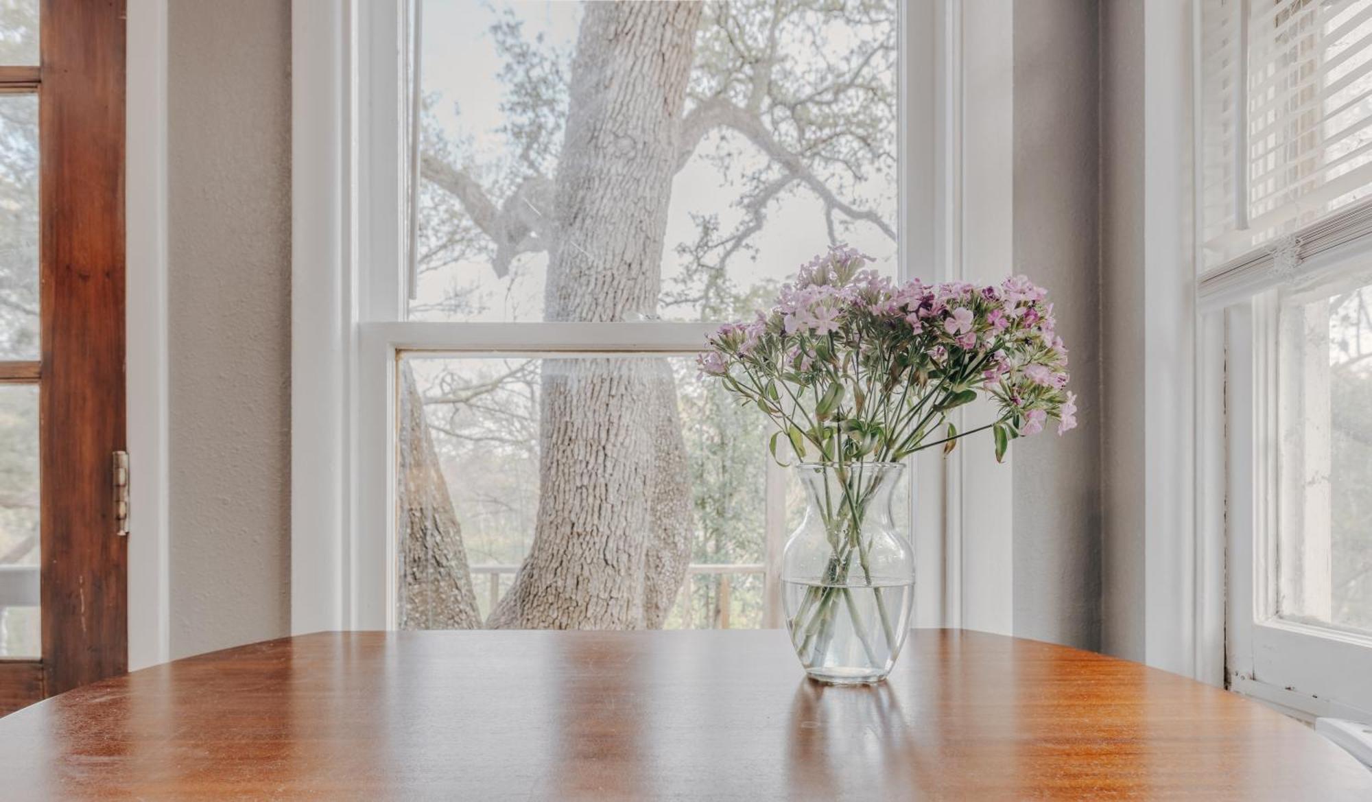 Group Retreat At Charming Twin Treehouses Near Ut Campus * Austin