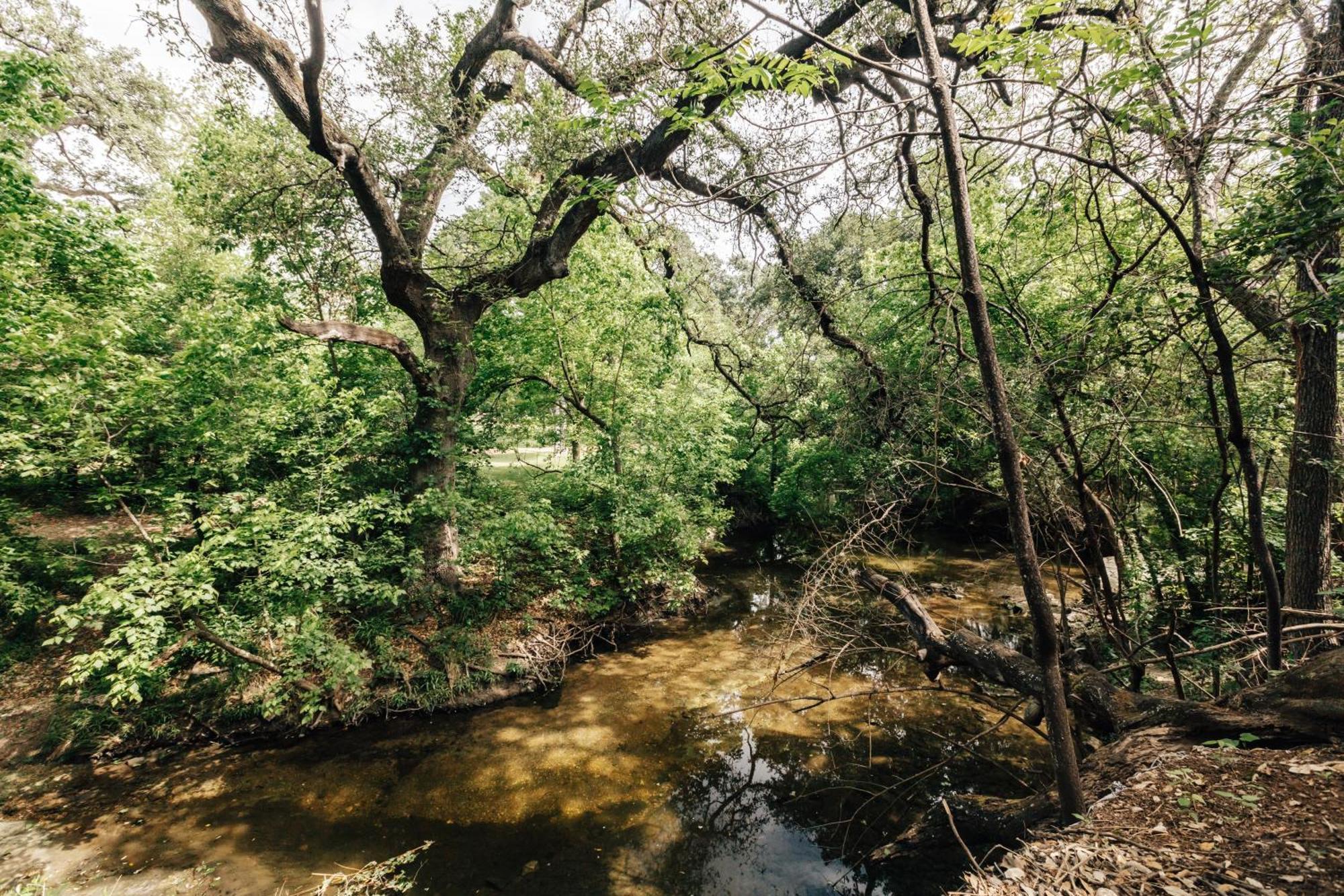 Holiday home Group Retreat At Charming Twin Treehouses Near Ut Campus *