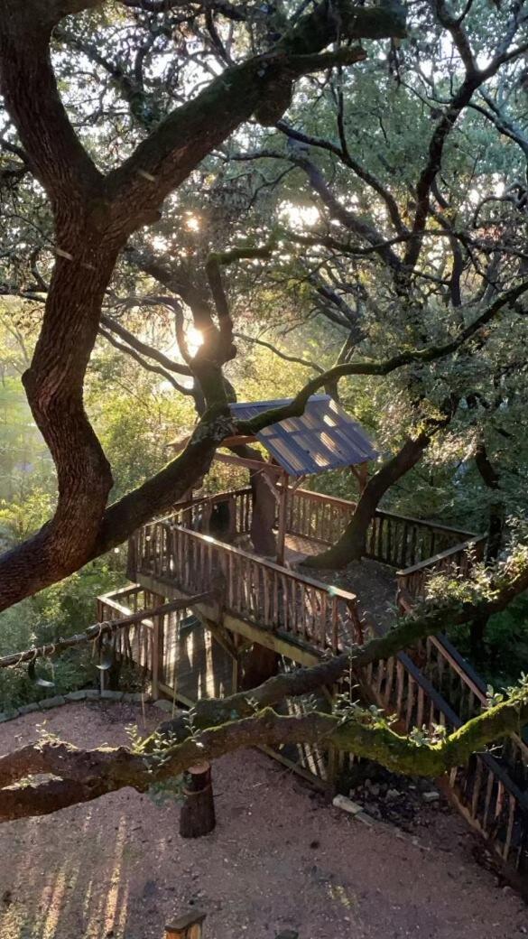 Holiday home Large Deck & Firepit - Treehouse *