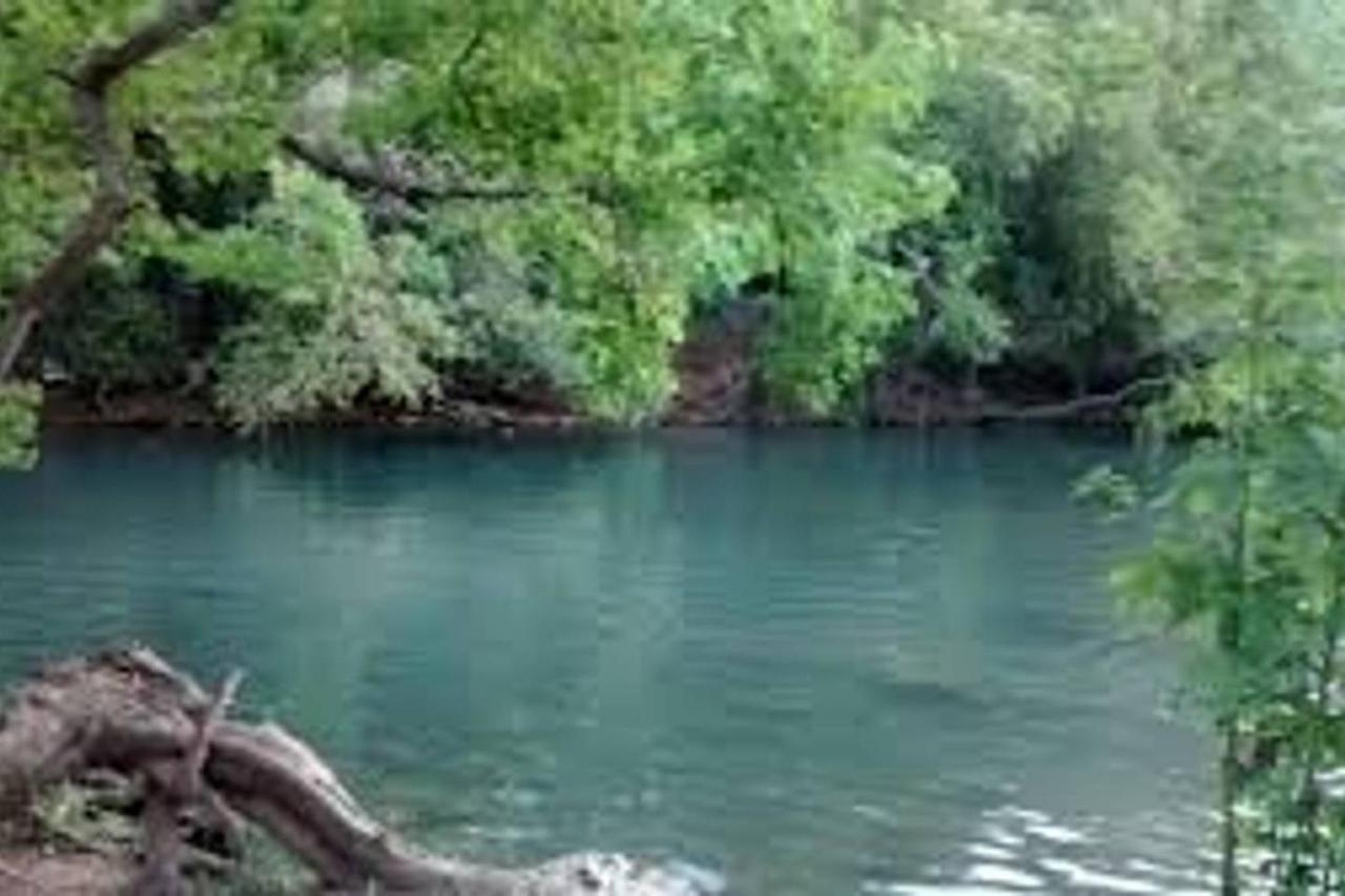 The Refuge At Zilker Apartment *