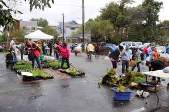 Resource Giveaway Day