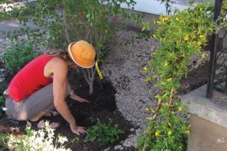 Grow Green Landscape Training
