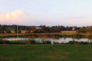 Pastoral Nature