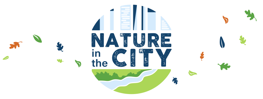 Nature In The City