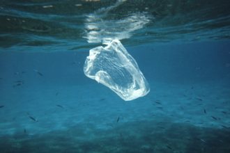 Plastic Bag