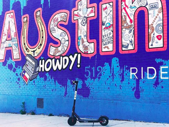 Bird Scooter