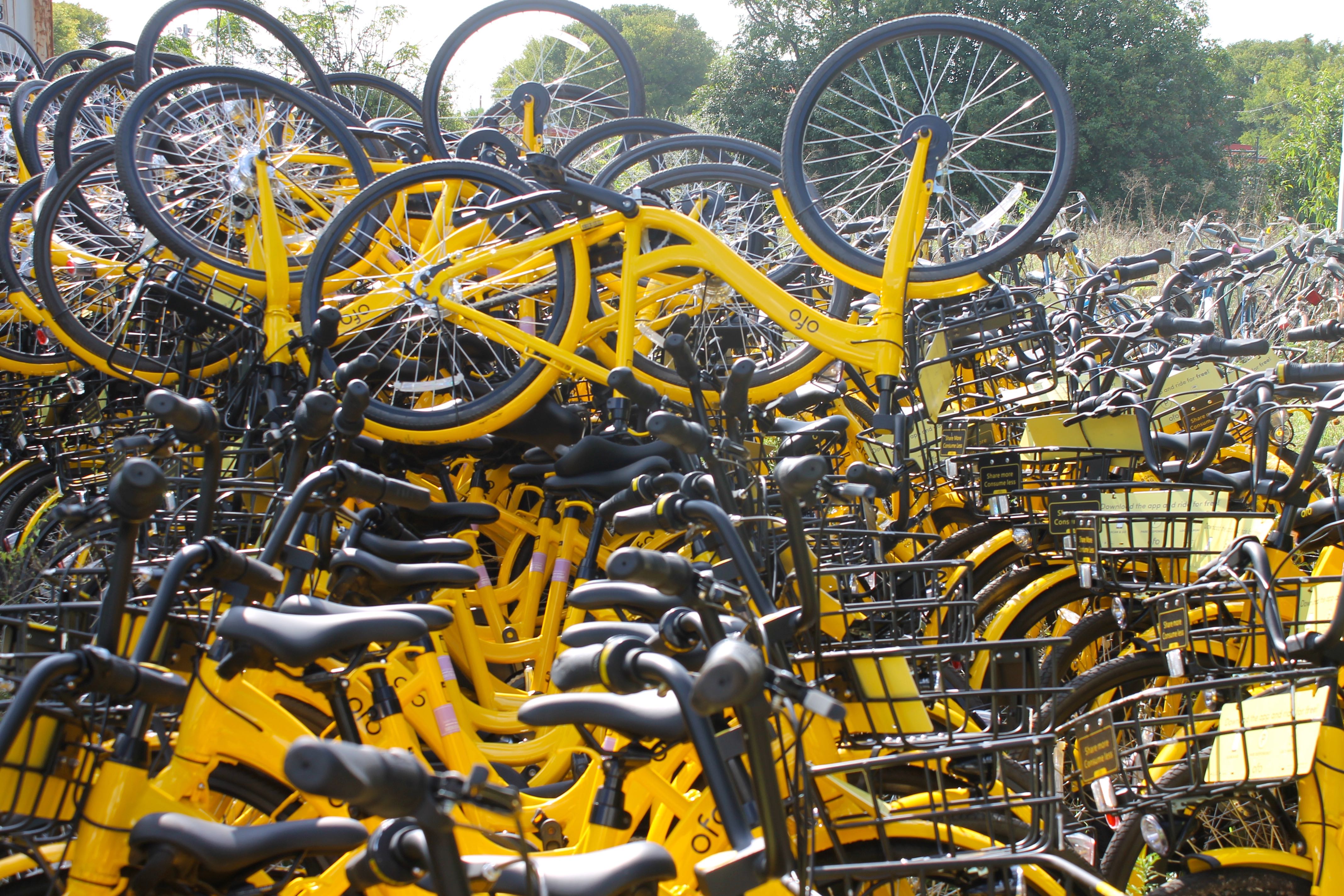 Ofo Bike