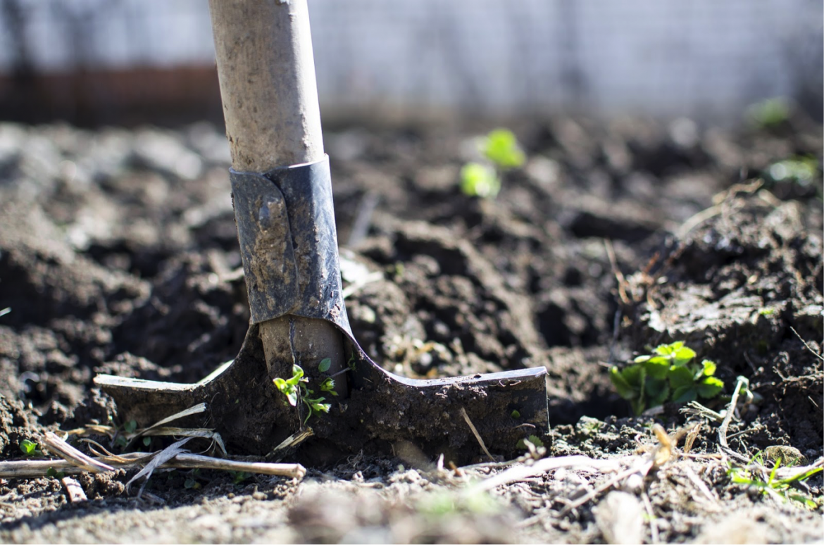Digging