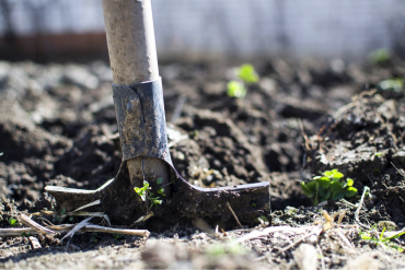 Digging