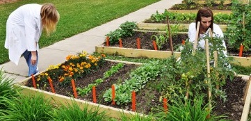Garden Science