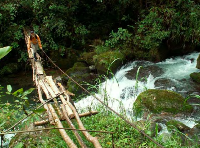 Youthful Headwaters